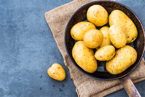 Propriedades úteis de batatas