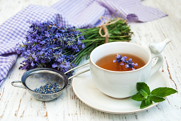 Los beneficios y daños del té de lavanda