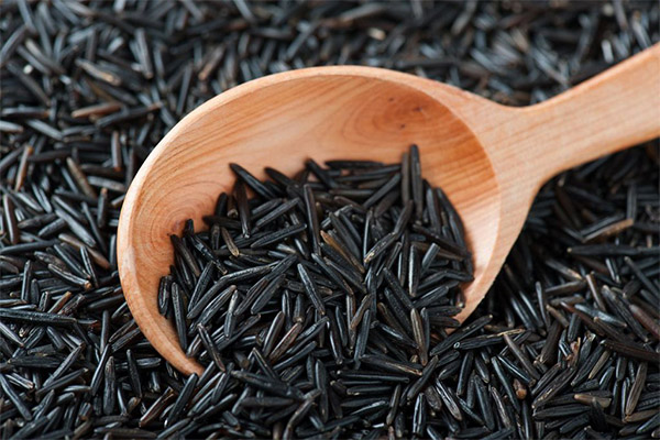 Los beneficios y daños del arroz negro.