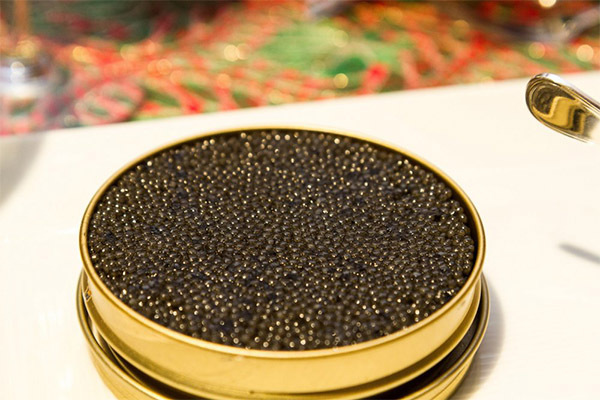 Els avantatges i els perjudicis del caviar negre