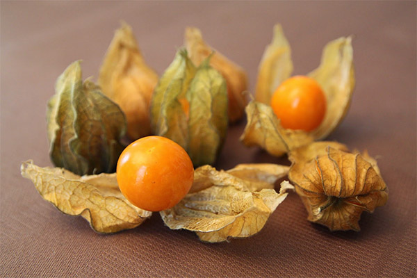 Ang mga pakinabang at pinsala sa physalis