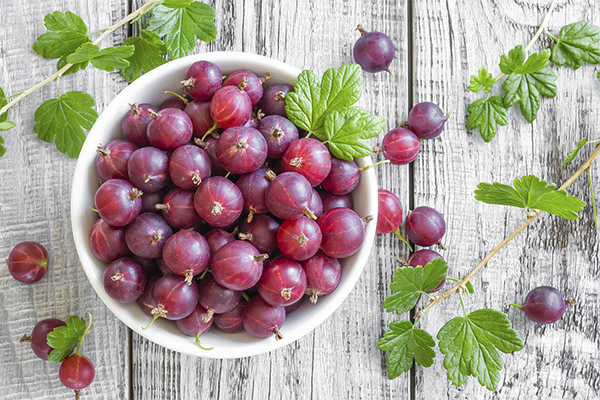 Die Vor- und Nachteile von Stachelbeeren