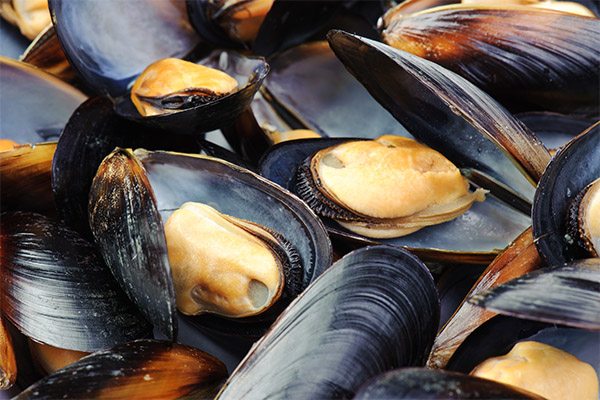 The benefits and harms of mussels