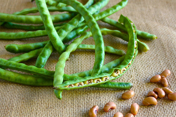 The benefits and harms of green beans