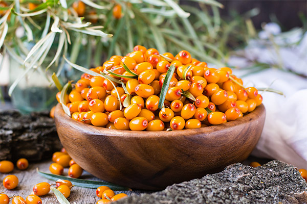 Recetas de medicina tradicional a base de espino amarillo