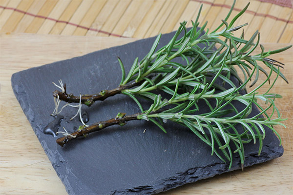 Rosemary dalam memasak