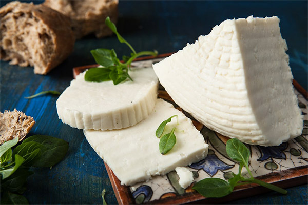 Cosa mangia il formaggio Adyghe?