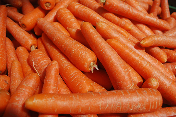 ¿De qué forma es la zanahoria más saludable?