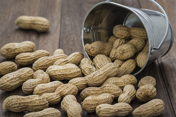 Harm and contraindications for peanuts