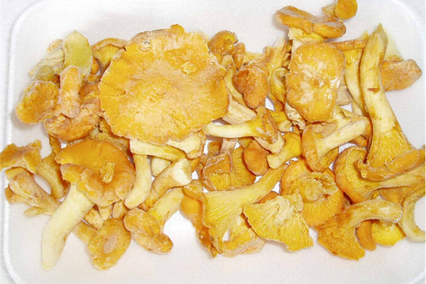 Chanterelles beku