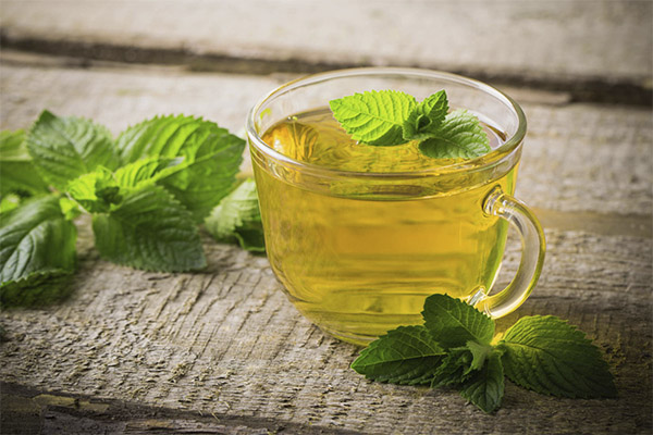 Tea with mint