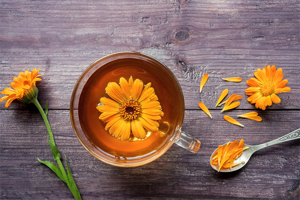 Wat is het gebruik van calendula-thee