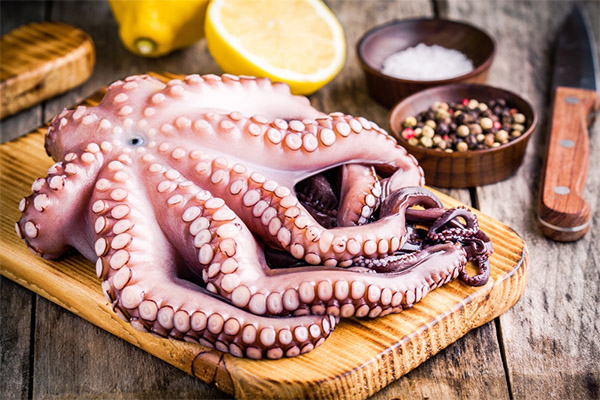 ¿Qué es útil el pulpo?