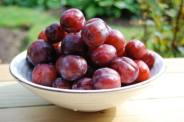 Quels sont les bienfaits des prunes