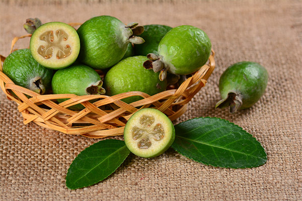 Feijoa i medicin