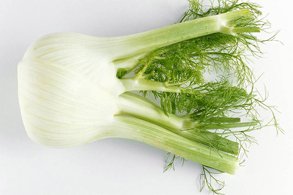 Fennel u kozmetologiji