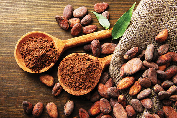 Datos interesantes sobre el cacao