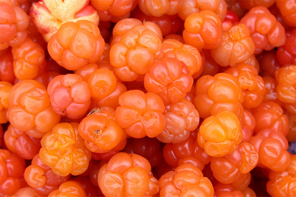 ข้อเท็จจริงที่น่าสนใจเกี่ยวกับ cloudberries