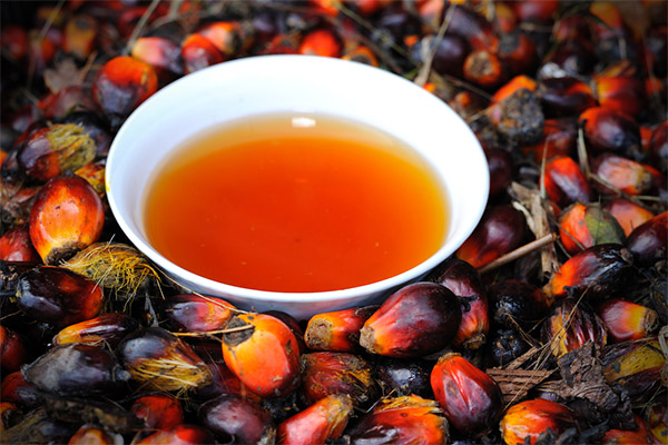 Interesting facts about palm oil