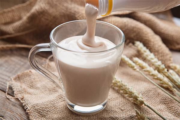 Hoe gefermenteerde gebakken melk te drinken