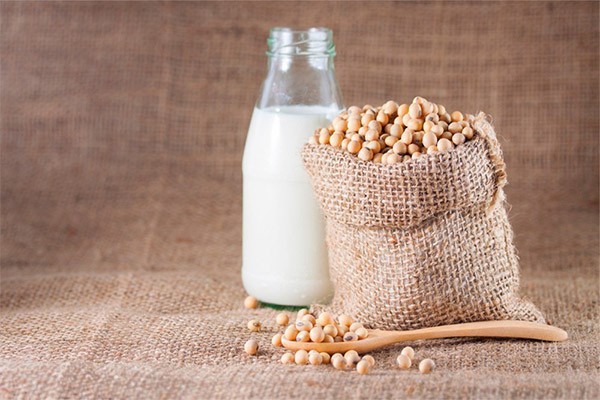 How to choose and store milk from soy