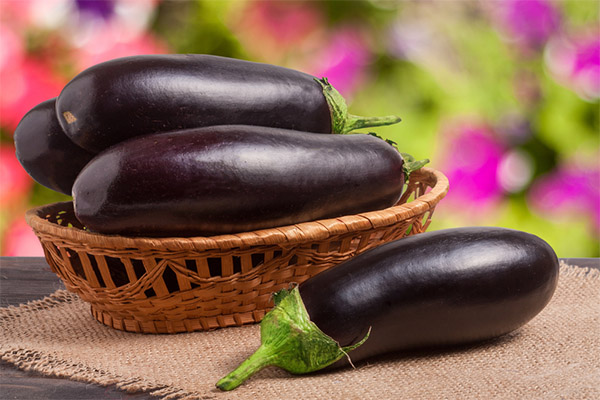 How to choose and store eggplant