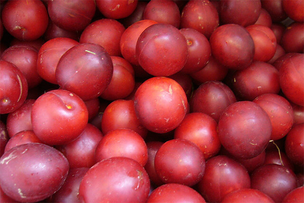 Paano pumili at mag-imbak ng cherry plum