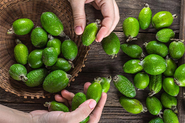 Cómo elegir y almacenar feijoa