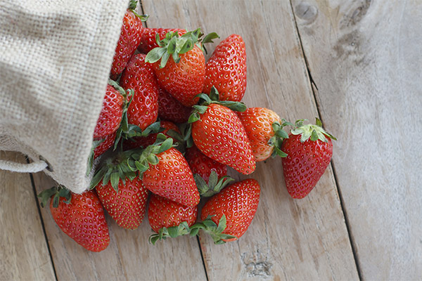 Wie man Erdbeeren pflückt und lagert