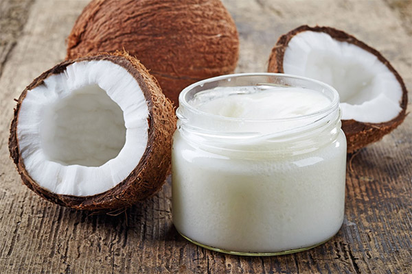 Come scegliere e conservare l'olio di cocco