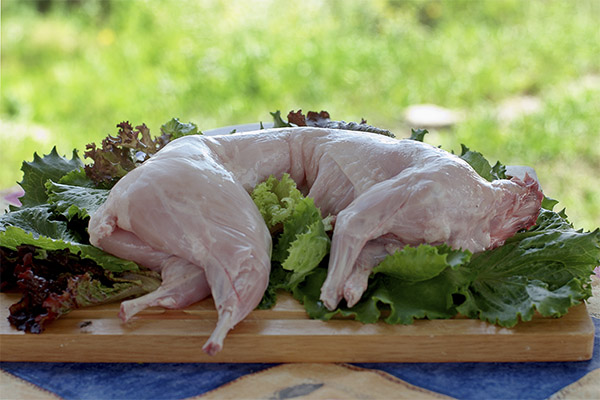 Cómo elegir y almacenar carne de conejo