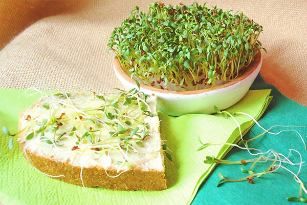 Cress i matlagning