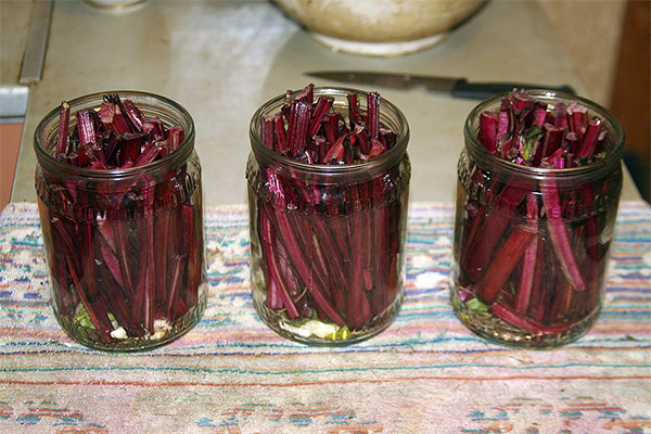 Pickled Chard stiklinger