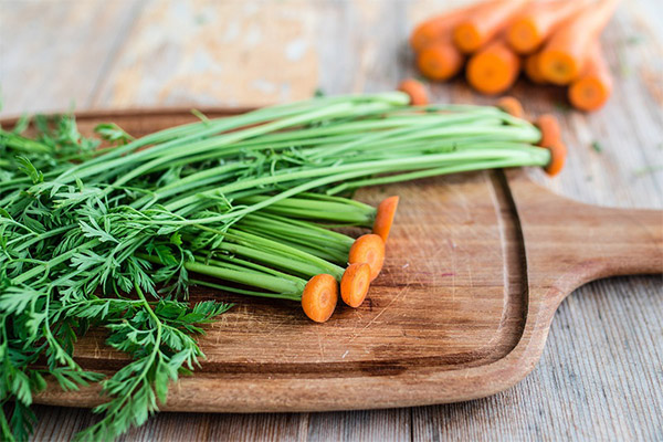 Cooking carrot tops