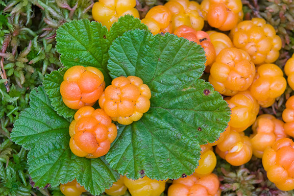 Cloudberry kosmetologiassa