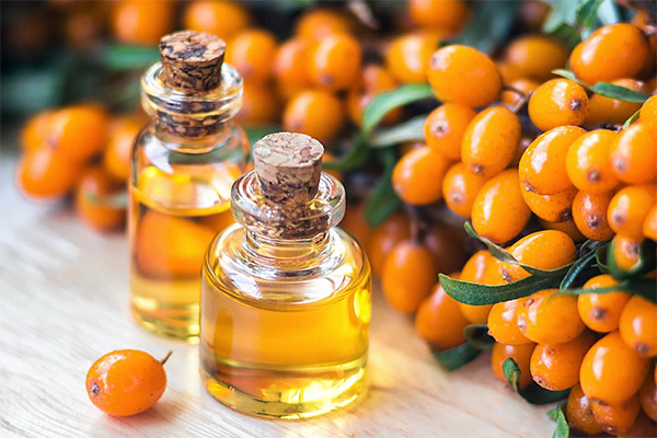 Sea Buckthorn Cooking Oil