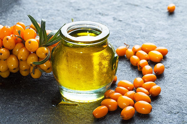 Sea buckthorn oil in medicine