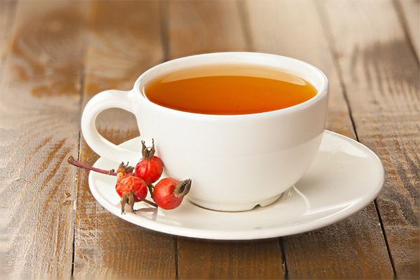 Rosehip broth in medicine