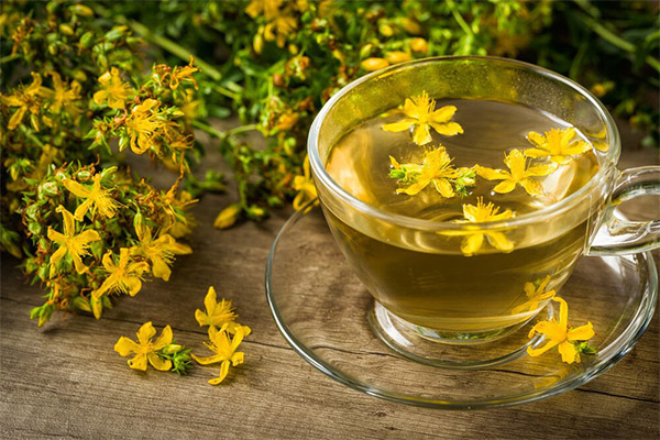 Propiedades útiles del té hypericum.