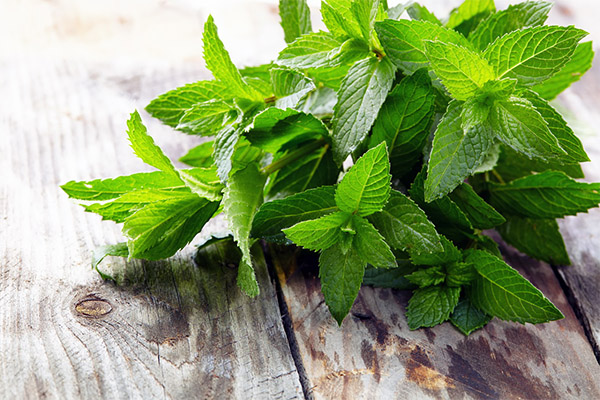 Useful properties of mint