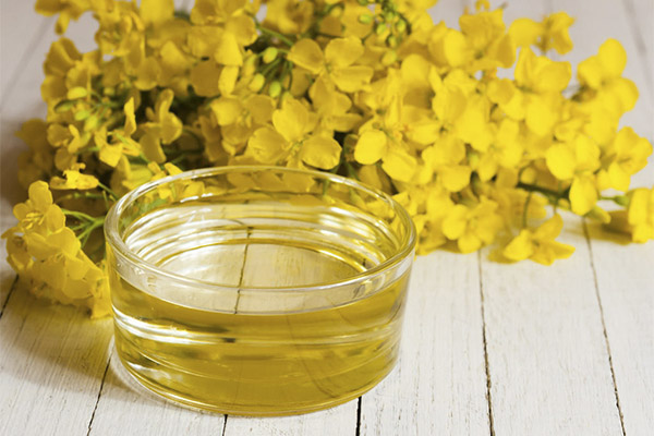 Useful properties of camelina oil