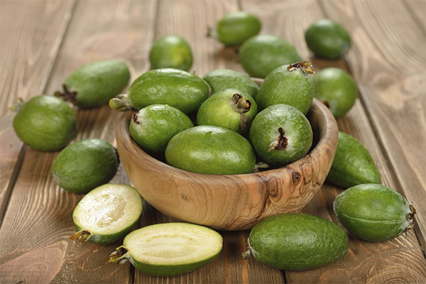 Τα οφέλη και οι βλάβες του feijoa