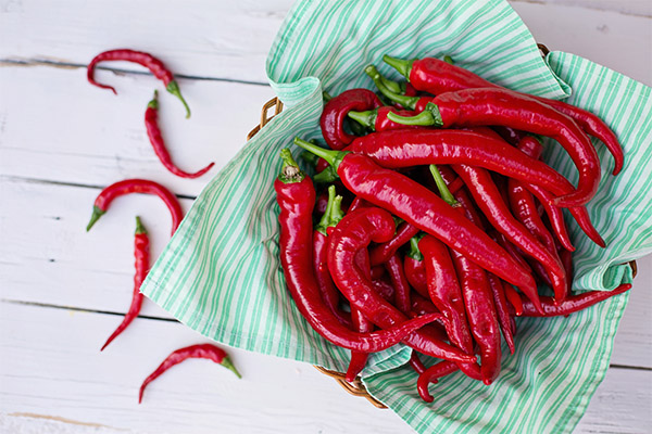 Ang mga pakinabang at pinsala ng cayenne pepper