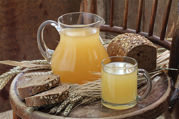 Os benefícios e malefícios do kvass da aveia