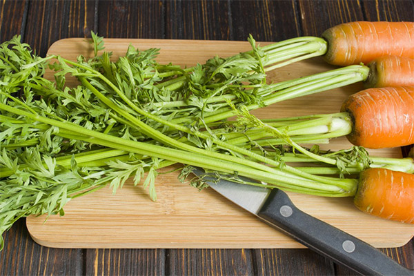 Los beneficios y daños de las zanahorias