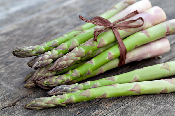 De voordelen en nadelen van asperges