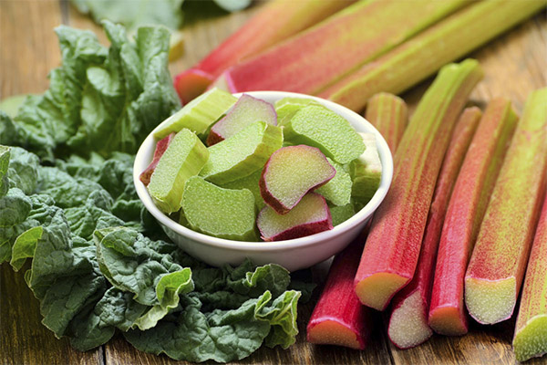 The benefits of rhubarb for weight loss