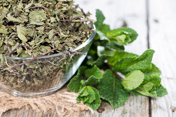 The benefits of dried mint