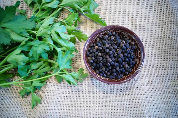 Het gebruik van zwarte peper in de traditionele geneeskunde