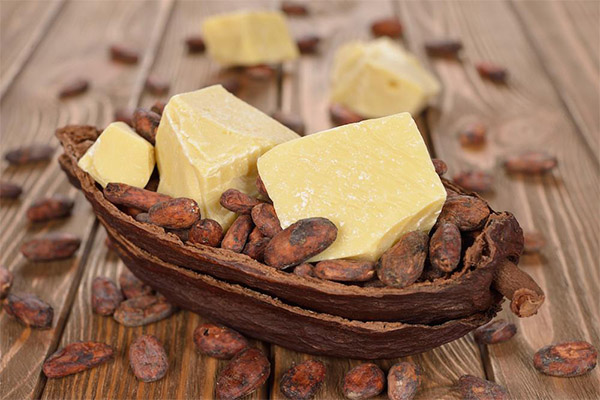 The use of cocoa butter in medicine